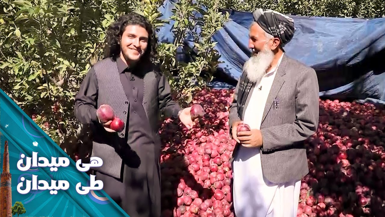 On the Road - Episode 31 | هی میدان طی میدان - دیدار باسط ایرج از ولسوالی خواجه عمری ولایت غزنی