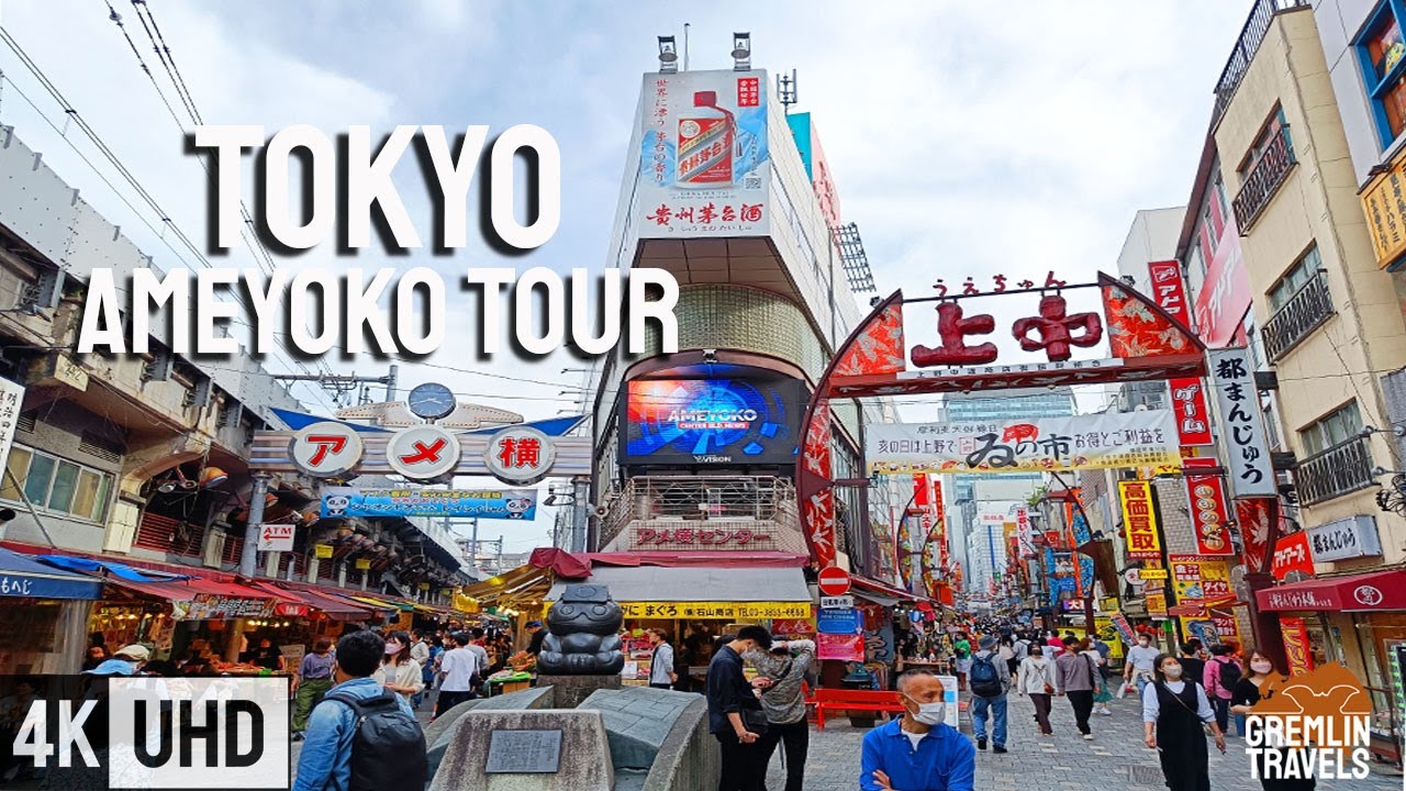 Ameyoko, Ueno - Tokyo's Black Market Area [2022] - YouTube