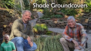 Amazing Shade Groundcover Plants with Tony Avent - Trillium, Rohdea, Ferns, Cast Iron Plants, Carex