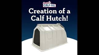 Creation of a Calf Hutch!