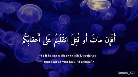 سورة آل عمران الآية ١٤٤