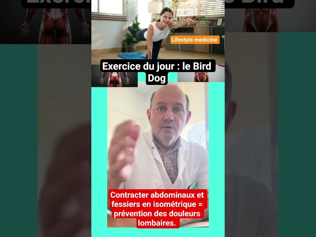 Exercice du jour: le Bird Dog /Bird Dog for your core #coreworkout #birddogs #health