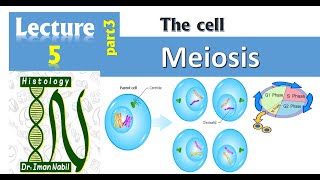 5c-Cell cycle part3-Meiosis-Cell-Histology