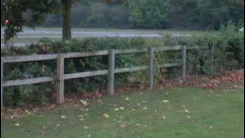 Blade 400 RC 3D Helicopter - First Ever Loops