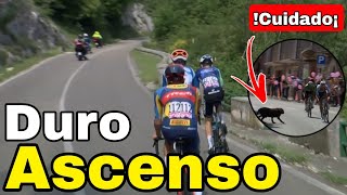 Resumen Etapa 10 ➣ Giro de Italia 2024 | Segunda Semana Montañosa