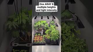 The ARAY range are modular and flexible