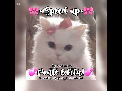 🎀•Speed up•🎀 💞ponte lokita💞