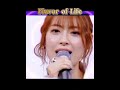 瀧本美織さん素晴らしいcover曲♪「美男ですね」のドラマを思いだした♡ #宇多田ヒカルさん #いつもありがとう
