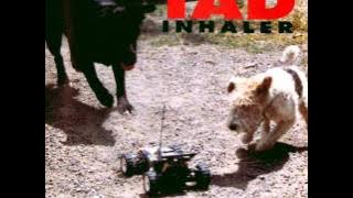 Tad - Grease Box (1993)