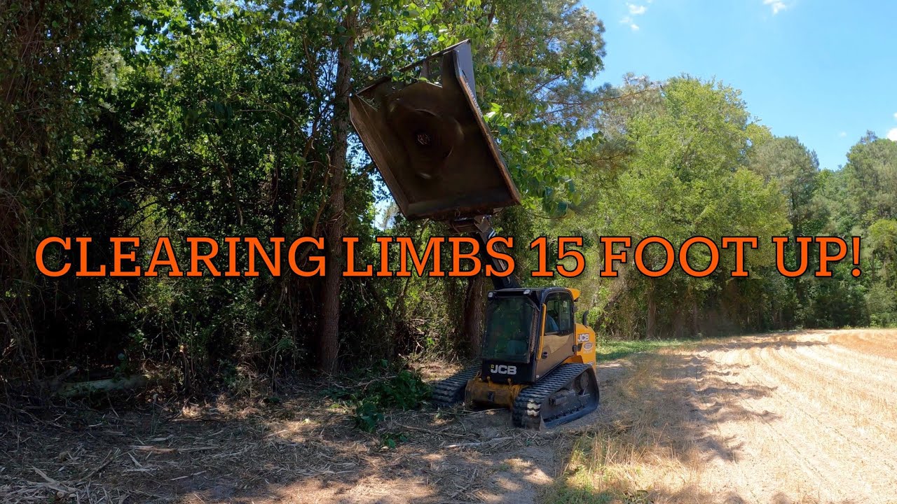 Brush Cutting High Tree Limbs And Putting Up A Deer Stand YouTube brush-cutting-high-tree-limbs-and-putting-up-a-deer-stand-youtube