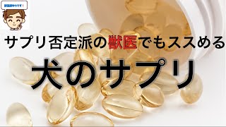 サプリ否定派の獣医でもススめる、 犬の優良サプリメント【獣医師が解説】