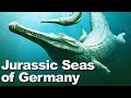The jurassic seas of germany  boneheads in germany part 1