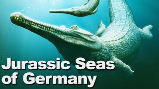 The Jurassic Seas Of Germany Boneheads In Germany Part 1