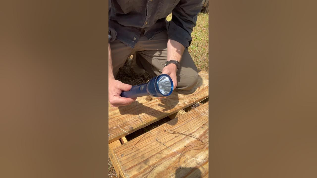 Can You Start a Fire with a Flashlight? survival fire outdoors 