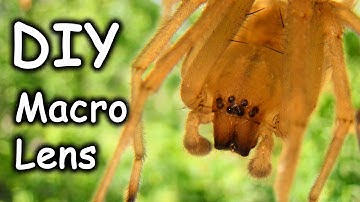 DIY Macro Lens out of a Toilet Paper Roll - How to Make a Macro Photos with a Kit Lens