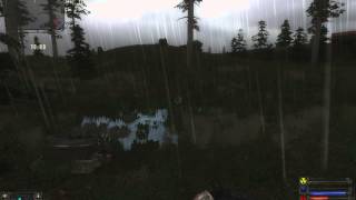 Dynamic puddles test