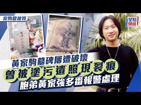 家駒墓被毀丨涉案男子曾自稱患有自閉症及過度活躍症 對炎明熹紙牌做猥褻行為丨星島頭條新聞丨Beyond丨黃家駒丨光頭Bob丨墳墓