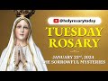 TUESDAY HOLY ROSARY 💛 JANUARY 23 2024 💛 SORROWFUL MYSTERIES OF THE ROSARY [VIRTUAL] #holyrosarytoday