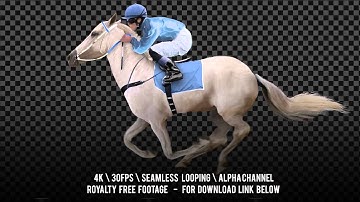 Jockey riding a white horse runs gallop. Isolated and cyclic. Can be used as a silhouette.
