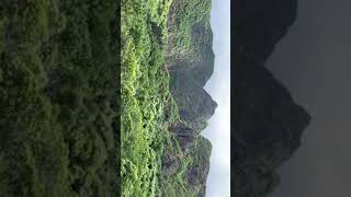 Enjoy the sounds of Maui in the Iao Valley