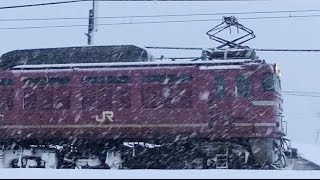 EF81-725牽引高速貨物 3092レ 福岡行き