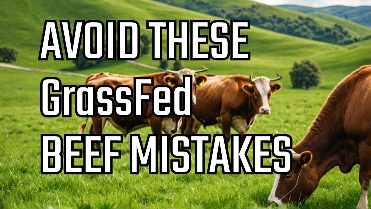 Mistakes to Avoid with Grass-Fed Cattle Beef - YouTube