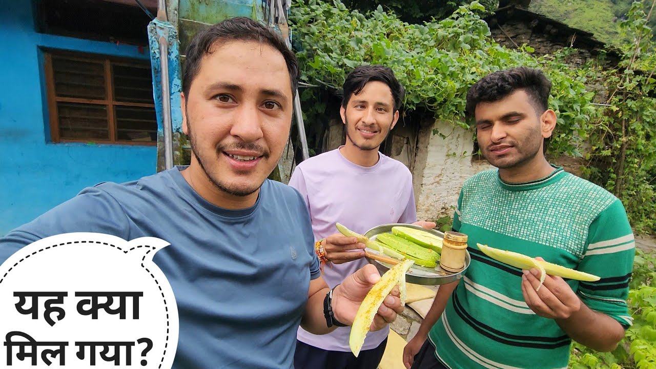 बड़ी मेहनत से हमें आजकल यह अनोखा फल मिला || 1 Hour Vlog Challenge || Cool Pahadi 