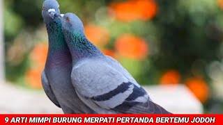 9 Arti Mimpi Burung Merpati Pertanda Bertemu Jodoh - Sahabta Channel