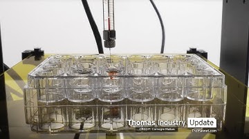 Microscopic Bio Robots Could Rewrite the Rules of Drug Delivery