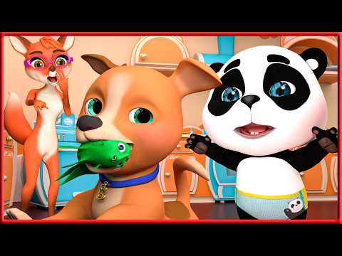 La Pelota de Bingo Desapareció - Canciones infantiles | Little Panda Doctor Española #bebetiburon