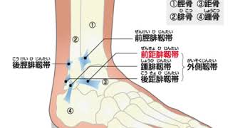 捻挫について〜皆様知っていただきたいこと〜☆Drるみこのプチ医学講座【バレエTV】