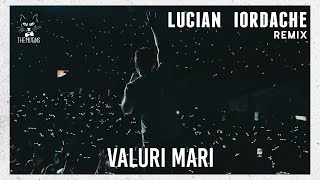 Video thumbnail of "The Motans - Valuri Mari | Lucian Iordache Remix"