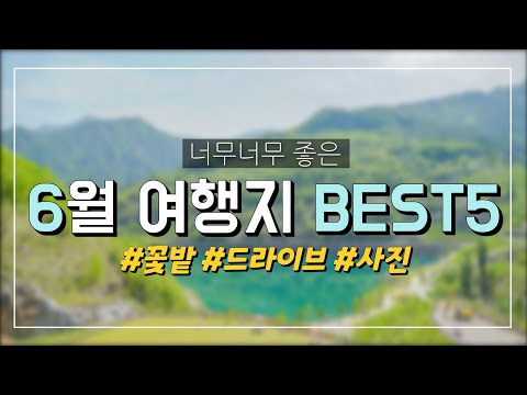 6월 여행지 BEST5 ⛰️ | 무릉별유천지 | 유구수국색동정원 | 고석정 | 물의정원 | 재인폭포