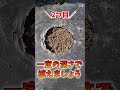 家庭菜園でやりたい！大根栽培で大根を１穴で2倍収穫する方法！ #shorts / Tips for making multiple radishes in one hole.
