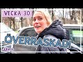 TÄNK OM DET ÄR EN SNOPP DÄR! - Ellen Bergström vecka 30