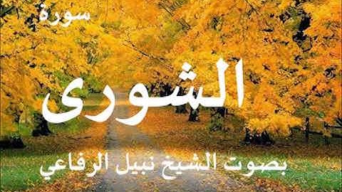 042  سورة الشورى بصوت الشيخ نبيل الرفاعي