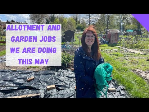 Allotment Jobs For May - Allotment Gardening UK For Beginners by That's What We Call The Good Life