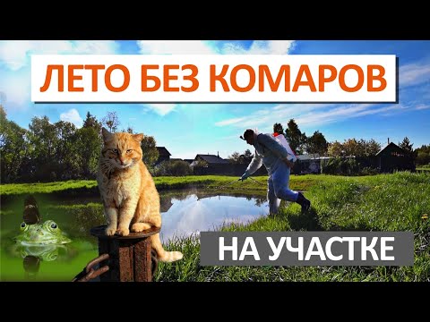 УНИЧТОЖЕНИЕ КОМАРОВ на участке — ЭКОЛОГИЧНО и БЕЗОПАСНО для животных
