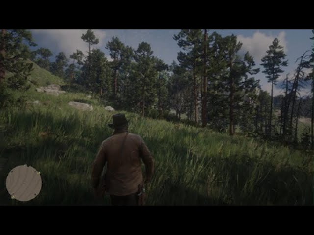 Why does red dead look so bad on my ps5? : r/reddeadredemption