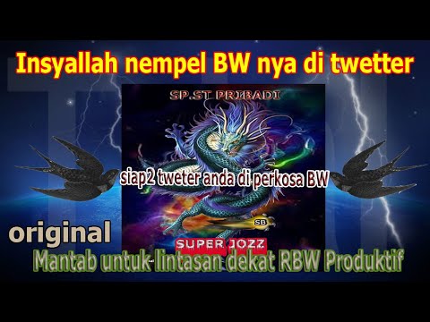SP ST SUPER JOZ PUNYA PRIBADI