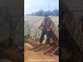 Agricultural electric handcart