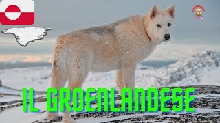 Il Groenlandese by Fidotutorial 218 views 9 months ago 5 minutes, 38 seconds
