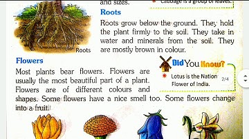 CBSE Class 2 EVS  - Plants and Animals Chapter 3 - Earth Natural Friend - NCERT