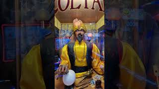 I wish I was Big! #zoltar #big