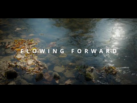 Flowing Forward - Black Swamp Conservancy 2023