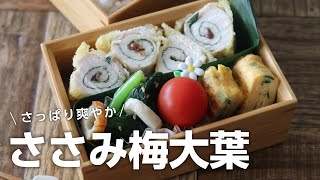 【お弁当作り】たった3品のおかず！ささみの梅しそ巻き弁当bento＃665