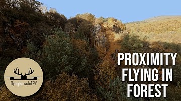 Cinewhoop Proximity Flying through an Autumn Forest // Cinematic FPV