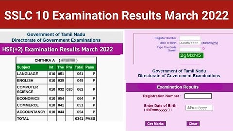 how to check sslc result 2022 in tamilnadu | check 10th result online