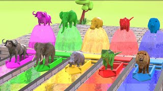 Paint and Animals Crossing Fountain Matching Game With Cow, Mammoth, Elephant, Gorilla, Fun Games