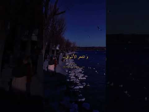 اشتقت اليك فعلمني أن لا اشتاق نزار قباني حالات وستوريات واتس اب انستا مع الكلمات تصميمي
